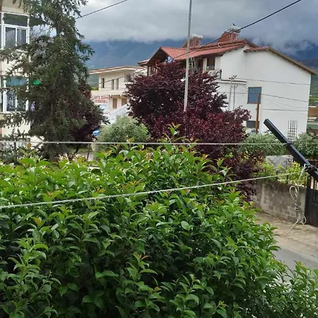 Apartament Erodita Altin